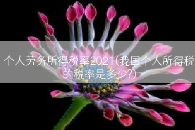 个人劳务所得税率2021(我国个人所得税的税率是多少?)