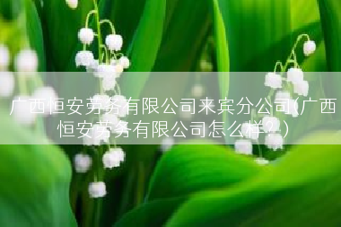 广西恒安劳务有限公司来宾分公司(广西恒安劳务有限公司怎么样？)