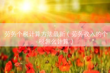 劳务个税计算方法最新（劳务收入的个税怎么计算）