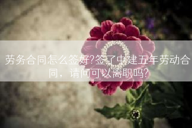 劳务合同怎么签好?签了中建五年劳动合同，请问可以离职吗?