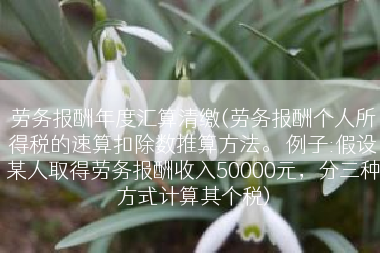 劳务报酬年度汇算清缴(劳务报酬个人所得税的速算扣除数推算方法。 例子:假设某人取得劳务报酬收入50000元，分三种方式计算其个税)