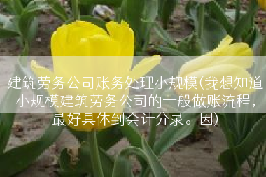 建筑劳务公司账务处理小规模(我想知道小规模建筑劳务公司的一般做账流程，最好具体到会计分录。因)