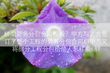 桥梁劳务分包合同模板？甲方与乙方签订了整个工程的劳务分包合同后甲方又将部分工程分包给他人怎样索赔？