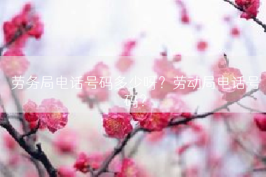 劳务局电话号码多少呀？劳动局电话号码？