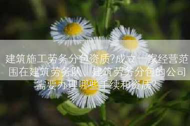 建筑施工劳务分包资质?成立一家经营范围在建筑劳务队、建筑劳务分包的公司需要办理哪些手续和资质?