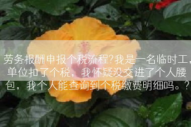 劳务报酬申报个税流程?我是一名临时工，单位扣了个税，我怀疑没交进了个人腰包，我个人能查询到个税缴费明细吗。?