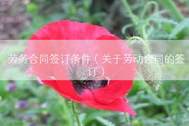 劳务合同签订条件（关于劳动合同的签订）