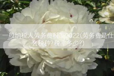 一般纳税人劳务费税率2022(劳务费是仕么税种?税率多少?)