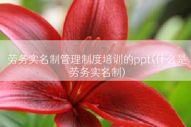 劳务实名制管理制度培训的ppt(什么是劳务实名制)