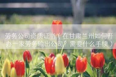 劳务公司资质证书（在甘肃兰州如何开办一家劳务输出公司？需要什么手续）