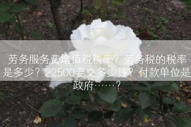 劳务服务费增值税税率？劳务税的税率是多少？22500要交多少钱？付款单位是政府……？