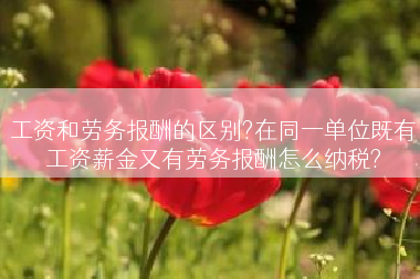 工资和劳务报酬的区别?在同一单位既有工资薪金又有劳务报酬怎么纳税?
