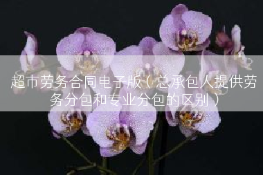 超市劳务合同电子版（总承包人提供劳务分包和专业分包的区别）
