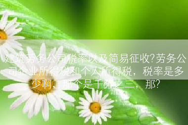 建筑劳务公司税率以及简易征收?劳务公司企业所得税和个人所得税，税率是多少啊，那个是千分之三，那?
