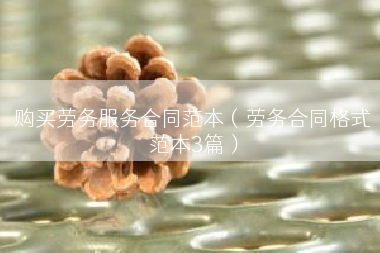 购买劳务服务合同范本（劳务合同格式范本3篇）