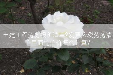 土建工程劳务报价清单?发票应税劳务清单里面的单价怎么计算?
