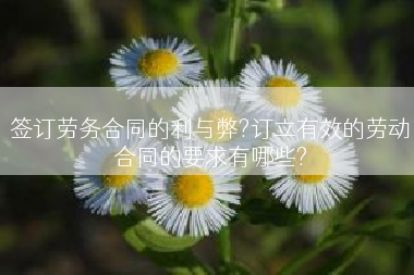 签订劳务合同的利与弊?订立有效的劳动合同的要求有哪些?