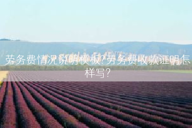 劳务费情况说明模板?劳务费收款证明怎样写?