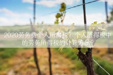 2020劳务费个人所得税？个人所得税中的劳务所得税的计算方法？
