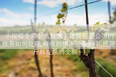 小规模专票怎么做账（建筑劳务公司的账务如何处理,税收的依据是差额中,还是开具发票的全额?）