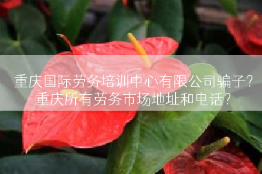 重庆国际劳务培训中心有限公司骗子？重庆所有劳务市场地址和电话？
