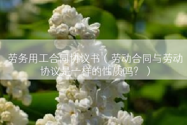劳务用工合同协议书（劳动合同与劳动协议是一样的性质吗？）