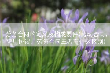 劳务合同的定义及构成要件(劳动合同，聘用协议，劳务合同三者有什么区别)
