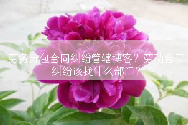 劳务分包合同纠纷管辖博客？劳动合同纠纷该找什么部门？