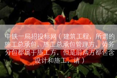 中铁一局招投标网（建筑工程，所谓的施工总承包，施工总承包管理方，劳务分包都属于施工方，但是前两方都包含设计和施工，请）
