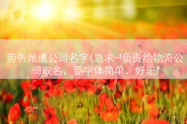 劳务派遣公司名字(急求~!负责给物流公司取名，要字体简单，好记)