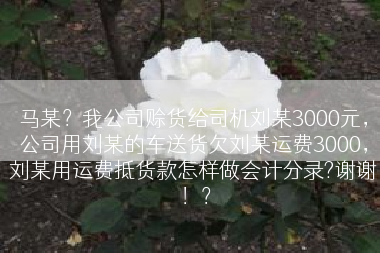 马某？我公司赊货给司机刘某3000元，公司用刘某的车送货欠刘某运费3000，刘某用运费抵货款怎样做会计分录?谢谢！？