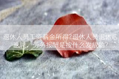 退休人员工资薪金所得?退休人员退休后返聘，劳务报酬是按什么发放的?
