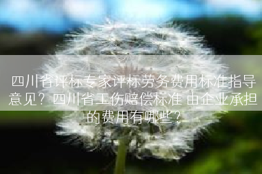 四川省评标专家评标劳务费用标准指导意见？四川省工伤赔偿标准 由企业承担的费用有哪些？