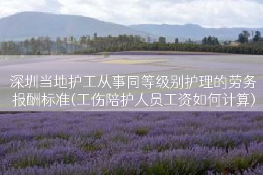 深圳当地护工从事同等级别护理的劳务报酬标准(工伤陪护人员工资如何计算)