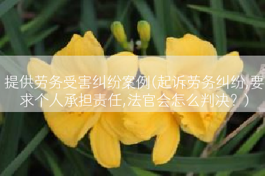 提供劳务受害纠纷案例(起诉劳务纠纷,要求个人承担责任,法官会怎么判决？)