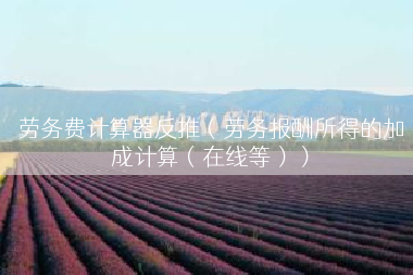 劳务费计算器反推（劳务报酬所得的加成计算（在线等））