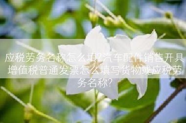 应税劳务名称怎么填?汽车配件销售开具增值税普通发票怎么填写货物或应税劳务名称?