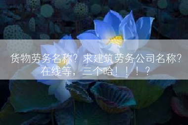 货物劳务名称？求建筑劳务公司名称？在线等，三个哈！！！？