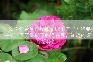 上海松江劳务市场搬到哪里去了？我要去松江区劳动局不知道在哪，知道的请帮我？