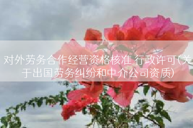 对外劳务合作经营资格核准 行政许可(关于出国劳务纠纷和中介公司资质)