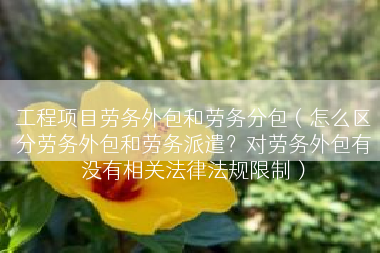 工程项目劳务外包和劳务分包（怎么区分劳务外包和劳务派遣？对劳务外包有没有相关法律法规限制）