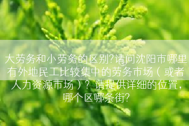 大劳务和小劳务的区别?请问沈阳市哪里有外地民工比较集中的劳务市场（或者人力资源市场）？请提供详细的位置，哪个区哪条街?