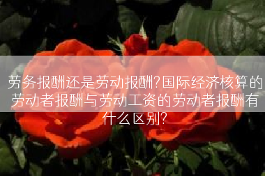 劳务报酬还是劳动报酬?国际经济核算的劳动者报酬与劳动工资的劳动者报酬有什么区别?