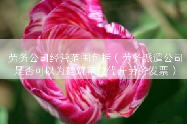 劳务公司经营范围包括（劳务派遣公司是否可以为建筑单位代开劳务发票）