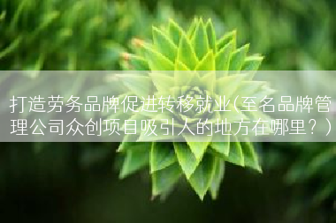 打造劳务品牌促进转移就业(至名品牌管理公司众创项目吸引人的地方在哪里？)