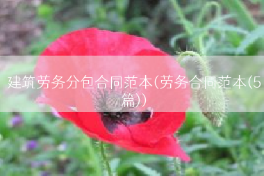 建筑劳务分包合同范本(劳务合同范本(5篇))