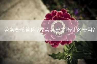 劳务费核算内容?劳务费是指什么费用?