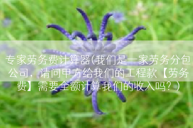 专家劳务费计算器(我们是一家劳务分包公司，请问甲方给我们的工程款【劳务费】需要全额计算我们的收入吗？)