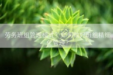 劳务班组管理模式？如何做好班组精细化管理？