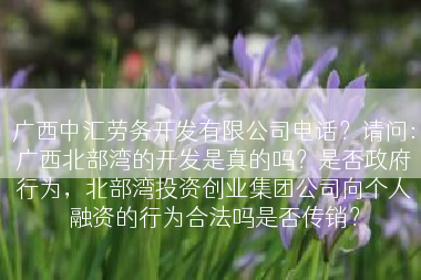 广西中汇劳务开发有限公司电话？请问：广西北部湾的开发是真的吗？是否政府行为，北部湾投资创业集团公司向个人融资的行为合法吗是否传销？